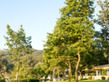Makryammos Bungalows
